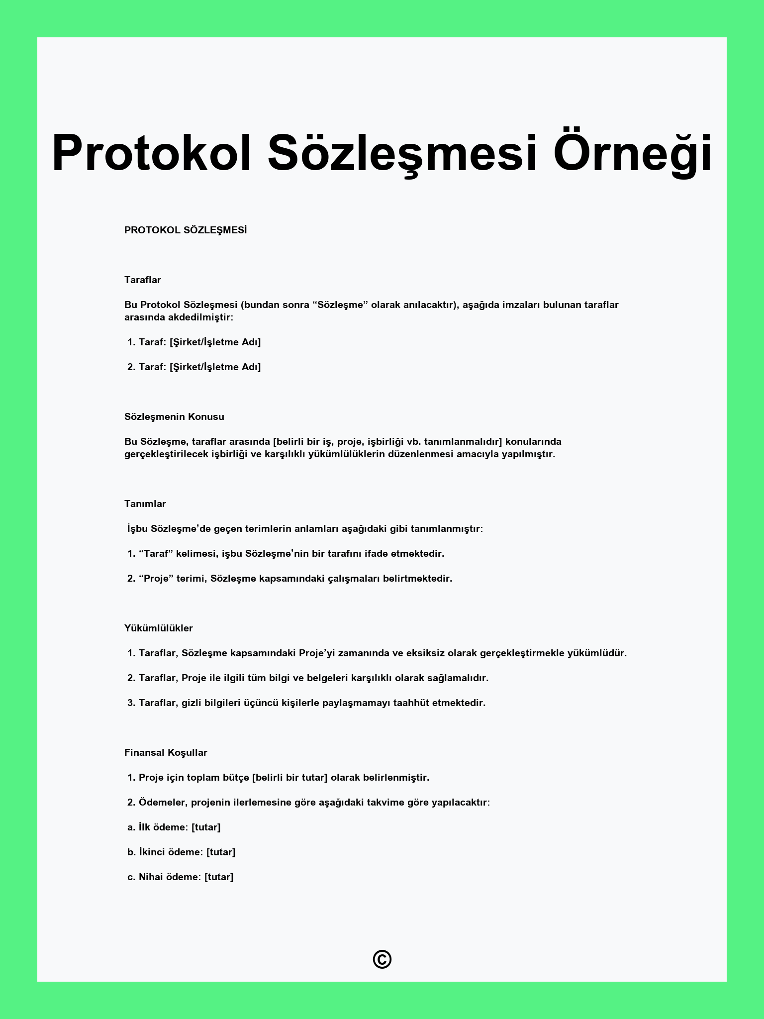Protokol Sözleşmesi Örneği